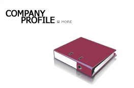 company profile